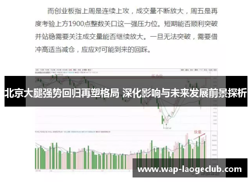 北京大腿强势回归再塑格局 深化影响与未来发展前景探析