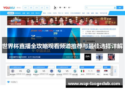 世界杯直播全攻略观看频道推荐与最佳选择详解