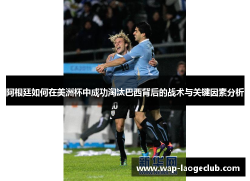 阿根廷如何在美洲杯中成功淘汰巴西背后的战术与关键因素分析