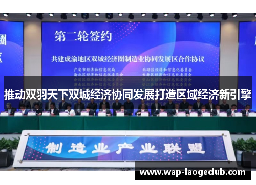 推动双羽天下双城经济协同发展打造区域经济新引擎