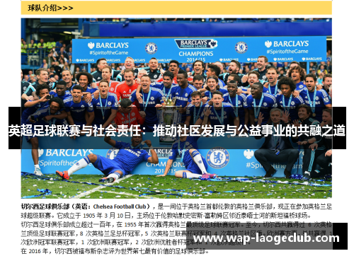 英超足球联赛与社会责任：推动社区发展与公益事业的共融之道